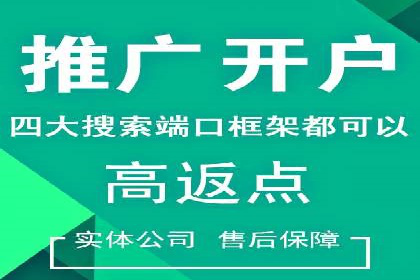 SEM竞价优化实战技巧：案例展示广告投放优化